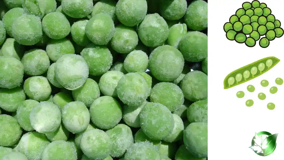 Commercial supplier evaluation for Frozen Peas should cover specification, packaging, paperwork, logistics, and all-in receiving cost.